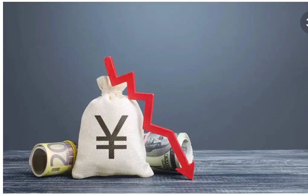 宠物公司介绍海报设计