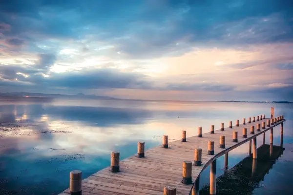 分歧者男主介绍公司